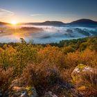 Herbstliches Gestrüpp