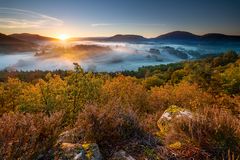 Herbstliches Gestrüpp