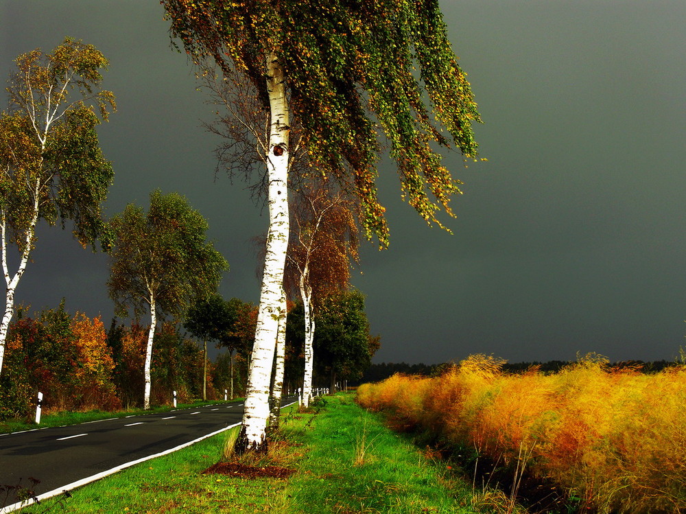 herbstliches Gewitterlicht von Roland ERGe