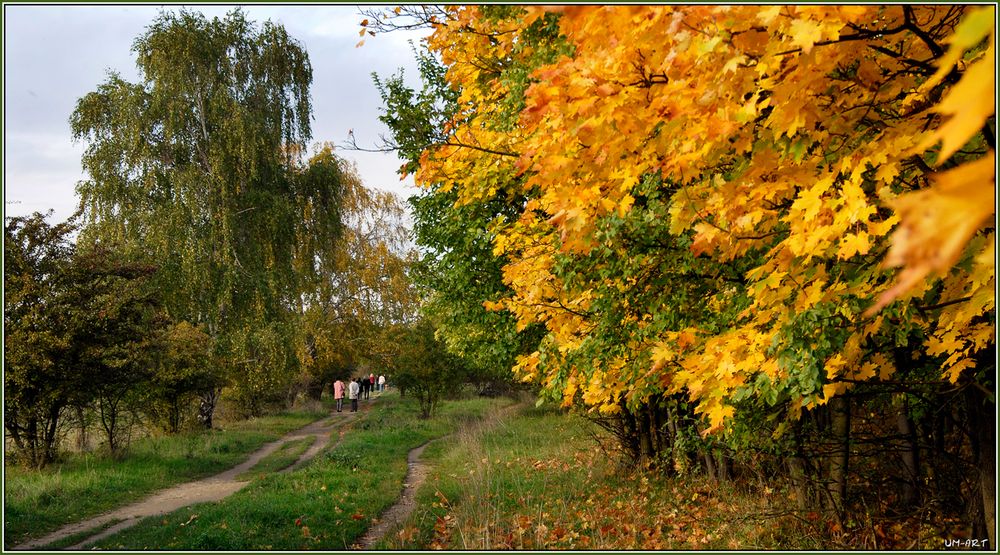 Herbstliches Gold...