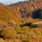 Herbstliches Hafenlohrtal