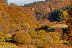 Herbstliches Hafenlohrtal