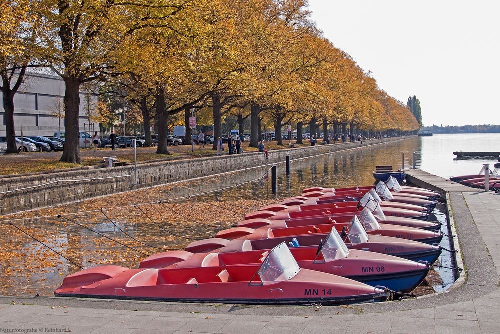  Herbstliches Hannover 2