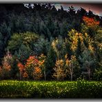 "Herbstliches HDR" - Variante 1