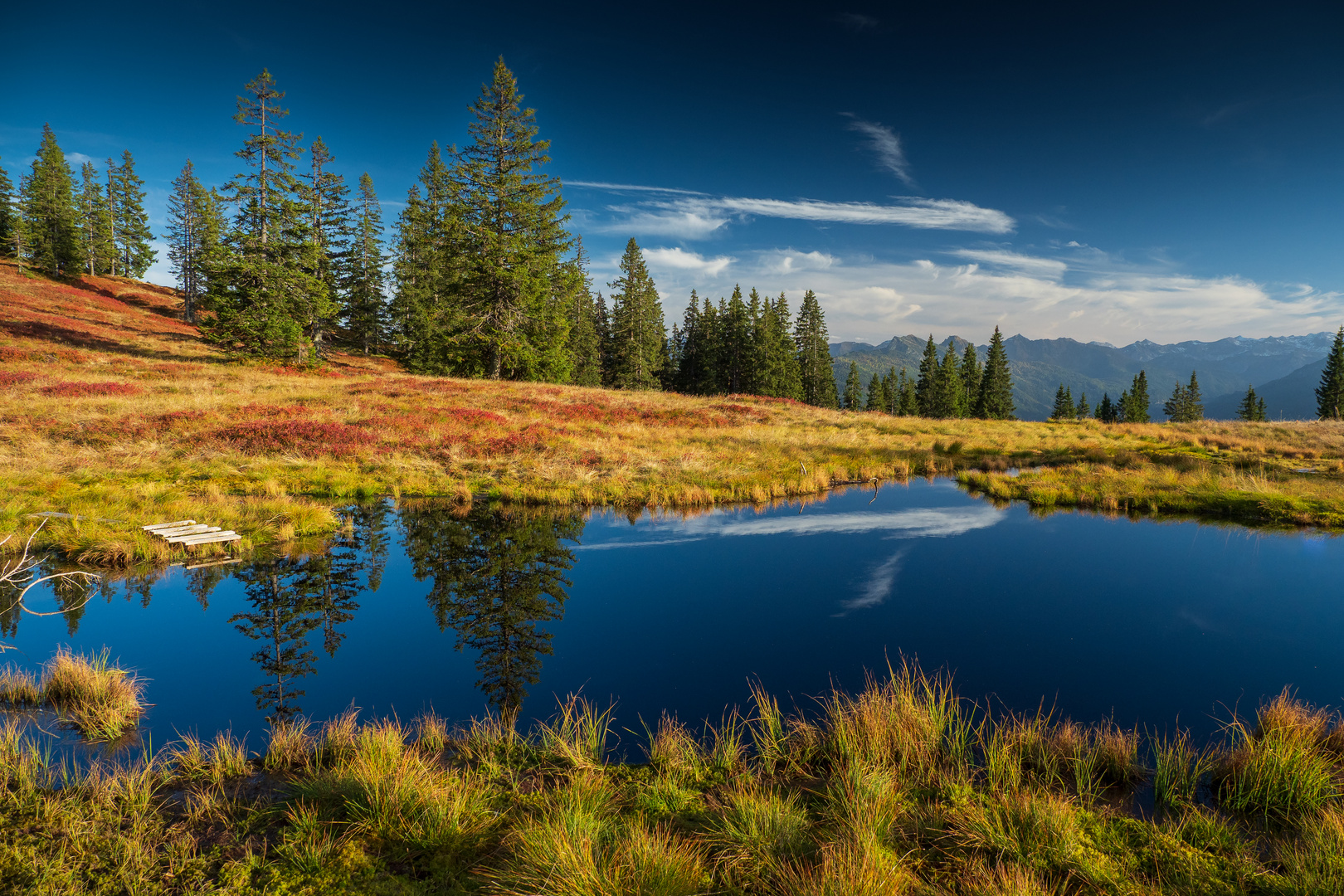 herbstliches Hochmoor