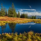 herbstliches Hochmoor