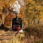 Herbstliches Hochsauerland