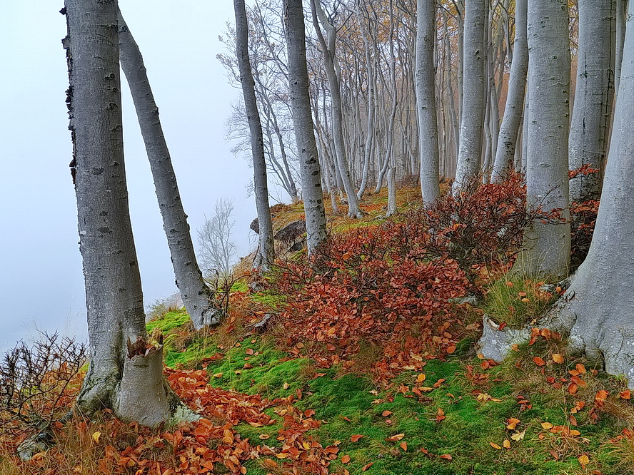 Herbstliches Hochufer Lietzow