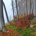 Herbstliches Hochufer Lietzow