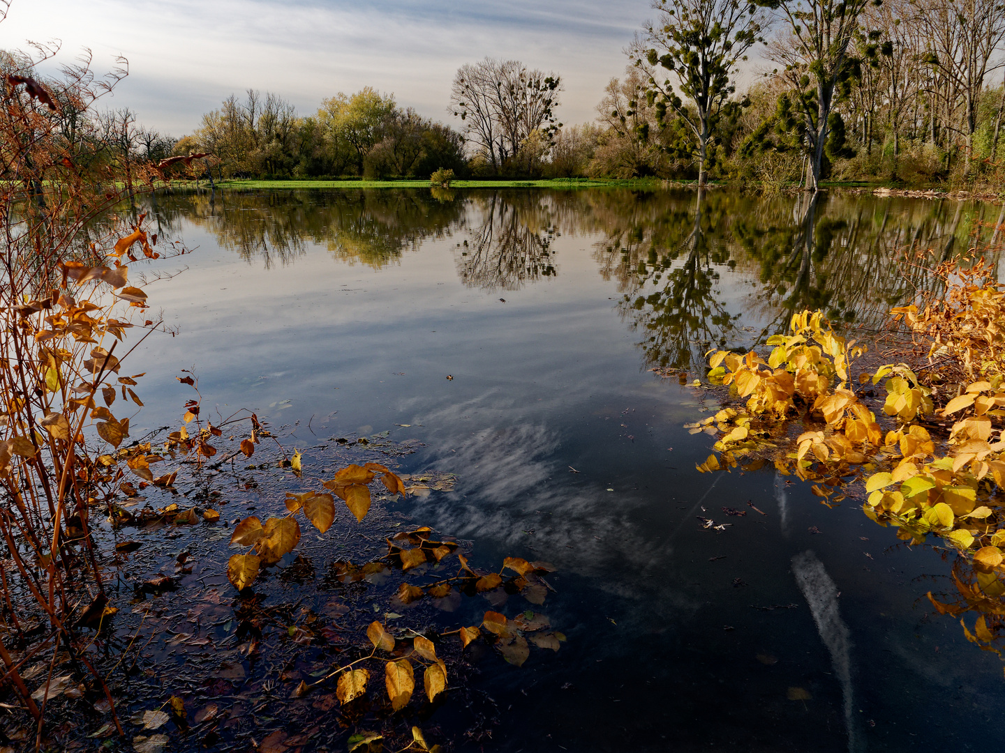 Herbstliches Hochwasser