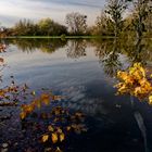 Herbstliches Hochwasser