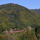 Herbstliches Höllental