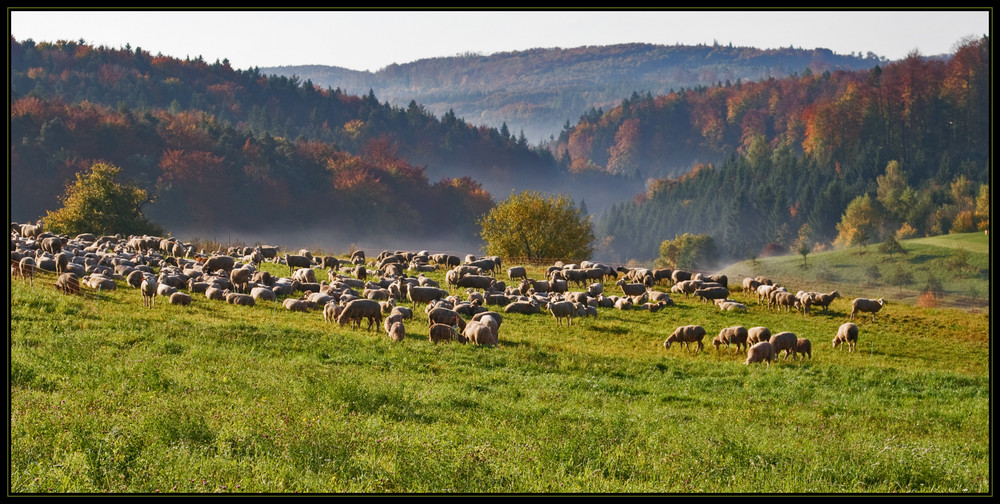 Herbstliches Idyll