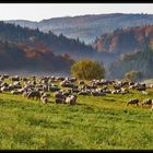 Herbstliches Idyll