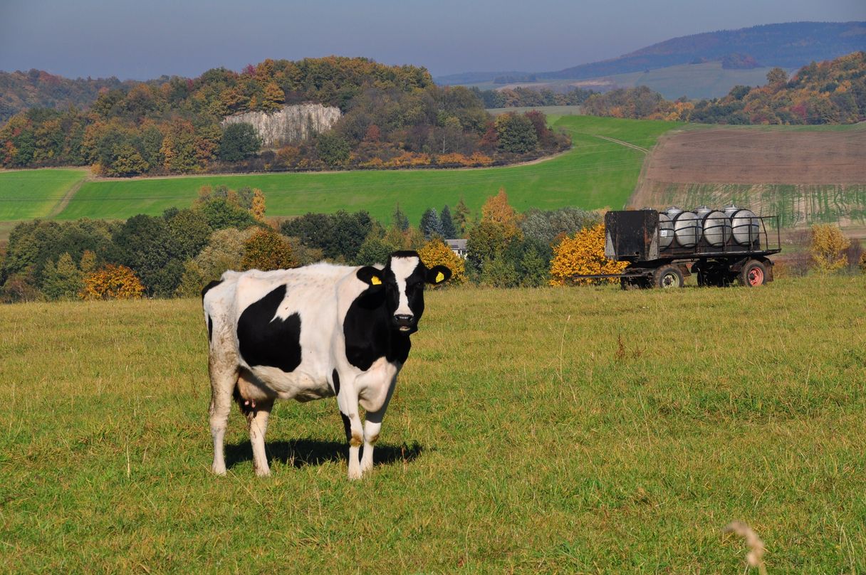 Herbstliches Idyll