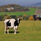 Herbstliches Idyll