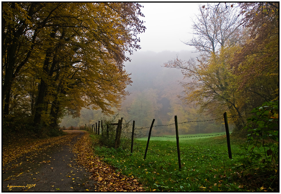 herbstliches II....