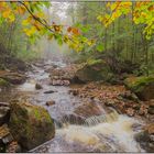 Herbstliches Ilsetal