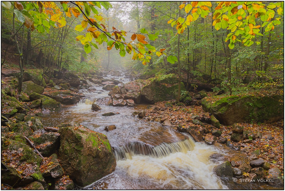 Herbstliches Ilsetal