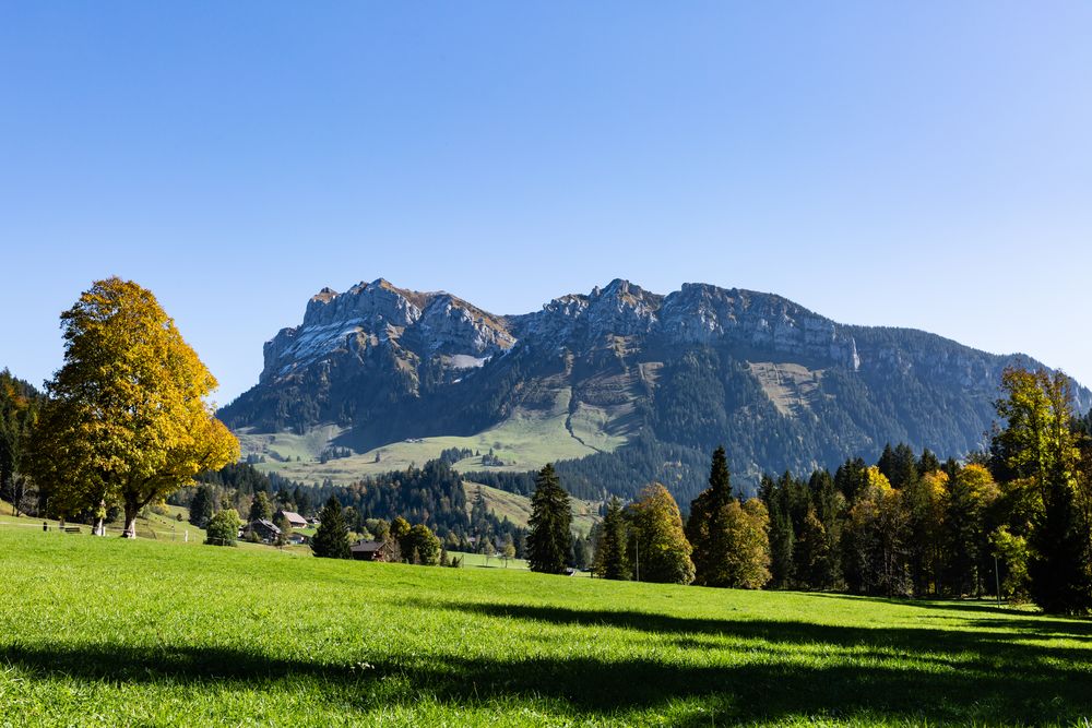 Herbstliches Innereriz mit dem Hohgant (2188 m.ü.M.)