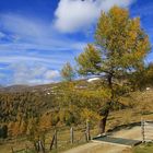 Herbstliches Kärnten In den Nockbergen