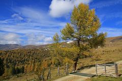 Herbstliches Kärnten In den Nockbergen