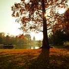 Herbstliches Karlsruhe