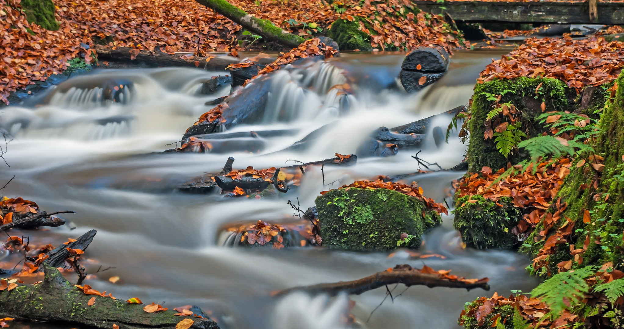 "Herbstliches Karlstal 2"