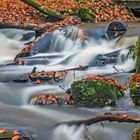 "Herbstliches Karlstal 2"