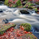 Herbstliches Karlstal