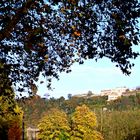 Herbstliches Koblenz