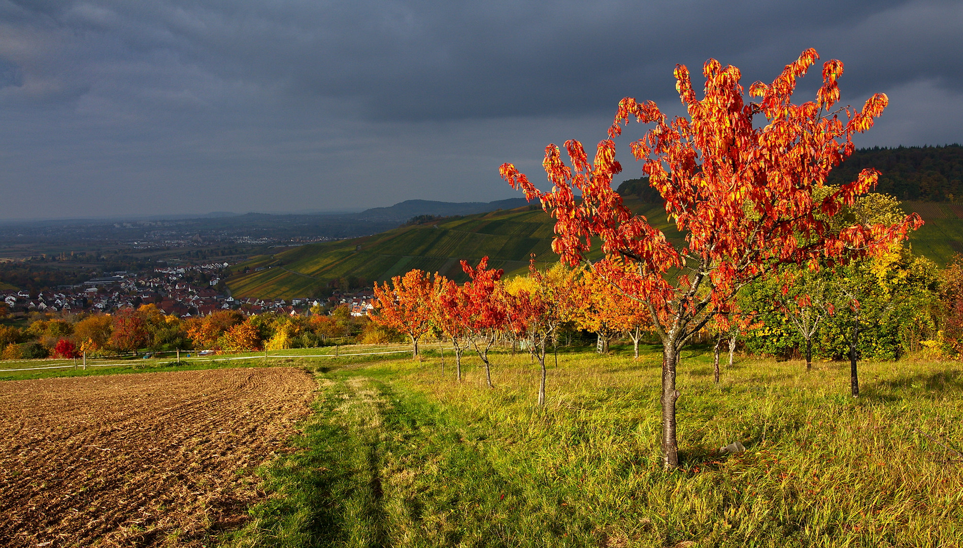 Herbstliches Kontrastprogramm