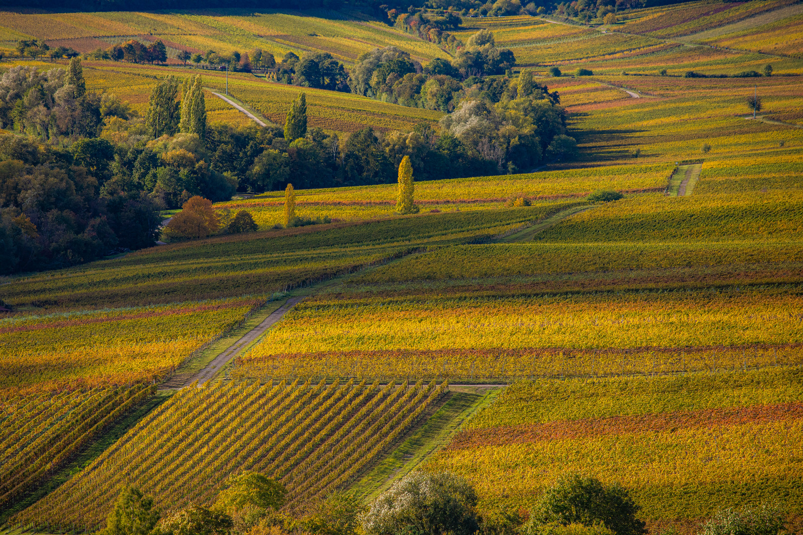 Herbstliches Landschaftkino