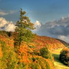 Herbstliches Leinetal