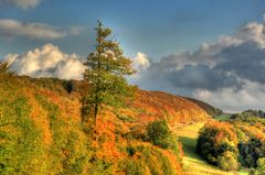 Herbstliches Leinetal