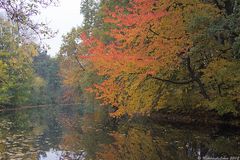 Herbstliches Leineufer