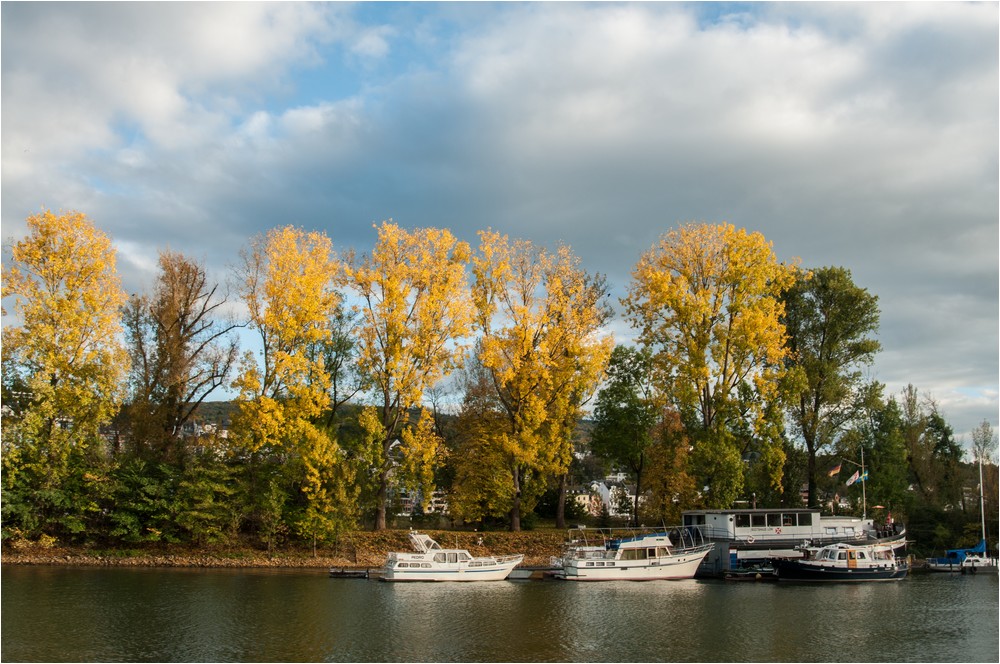 Herbstliches Leuchten