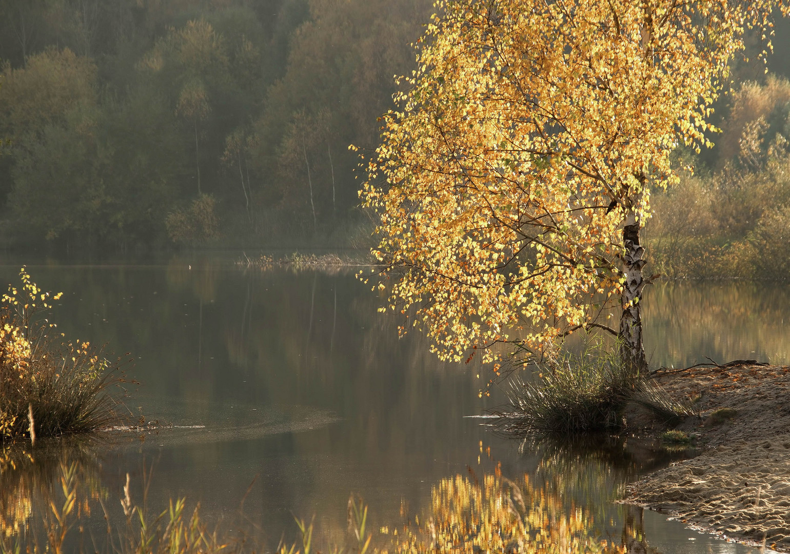 °Herbstliches Leuchten°