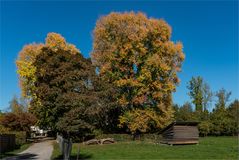 Herbstliches Leuchten