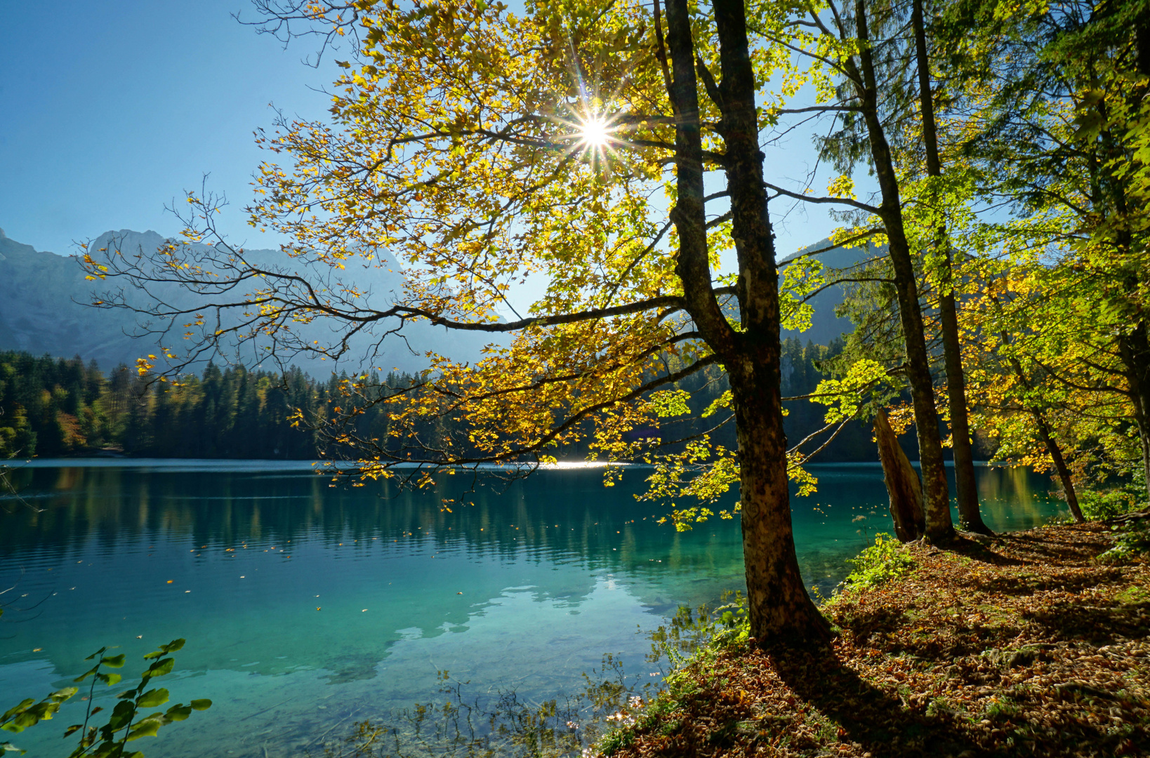 Herbstliches Leuchten am See