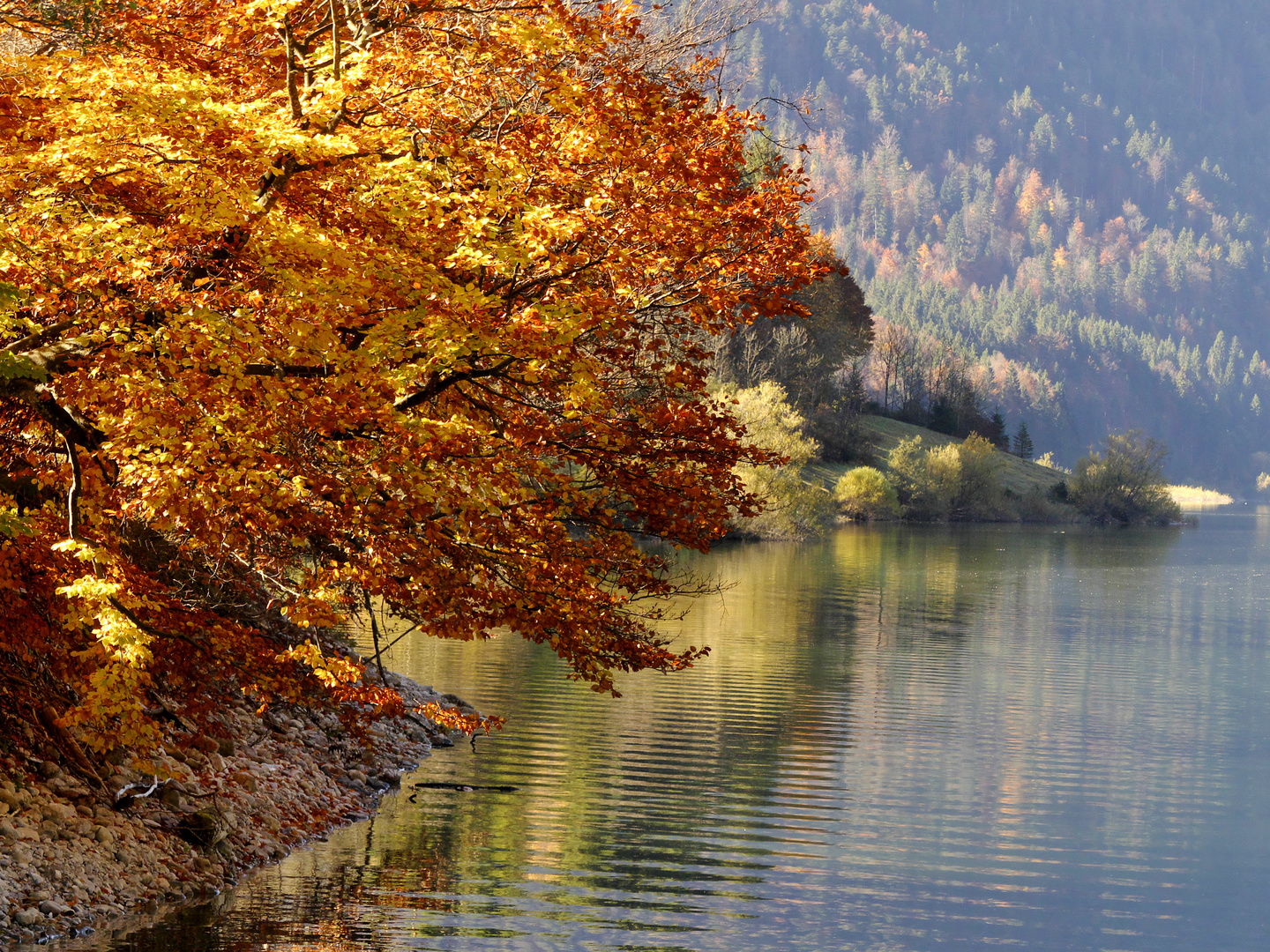 Herbstliches Licht