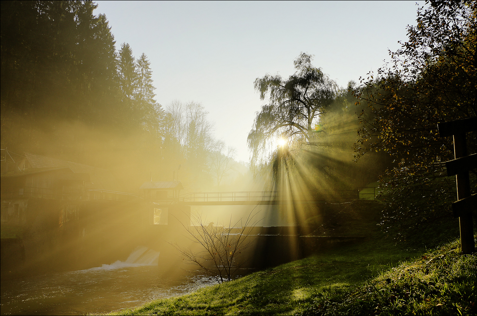 Herbstliches Licht