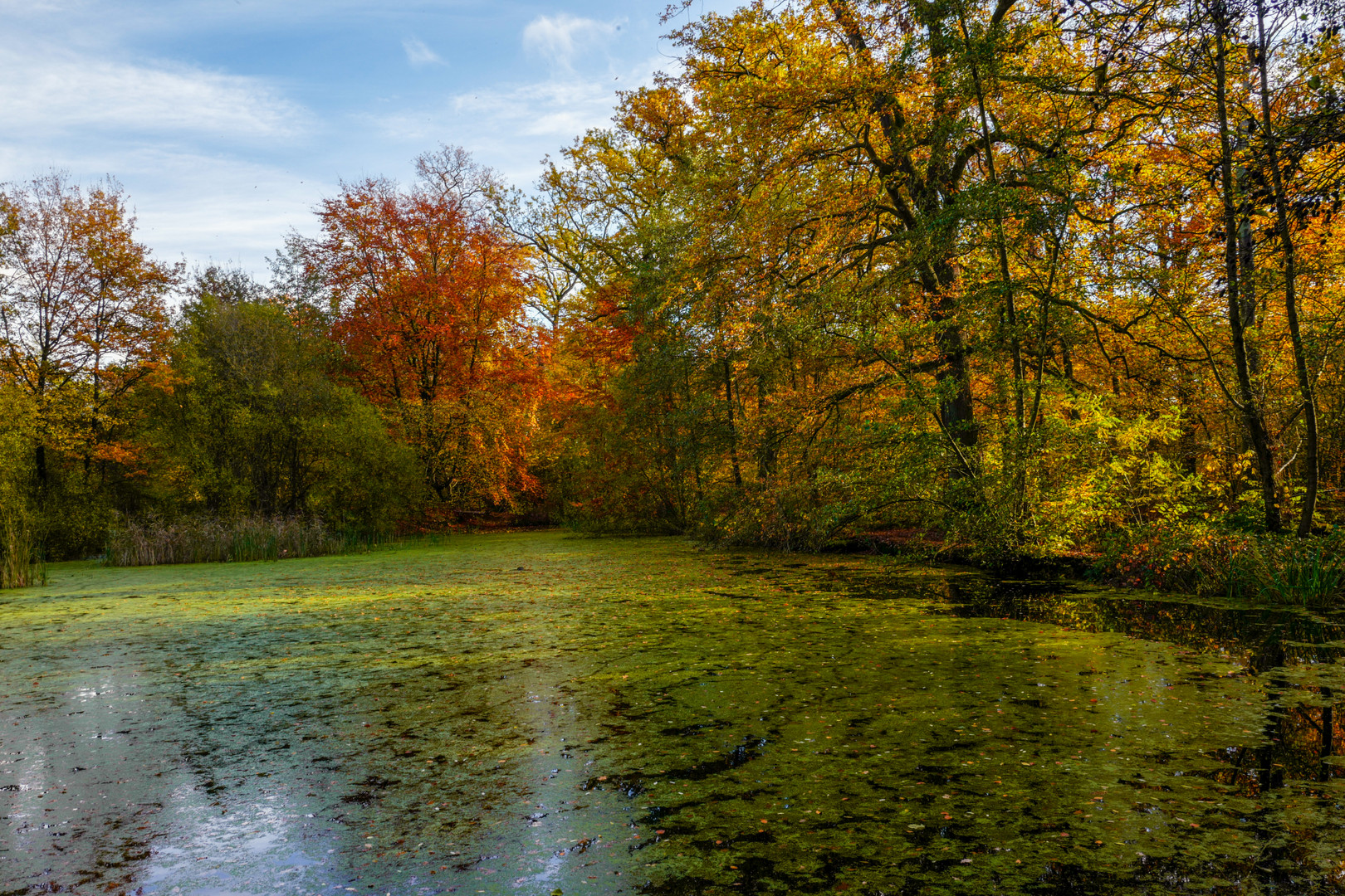 Herbstliches Licht....