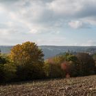 Herbstliches Licht über Zavelstein