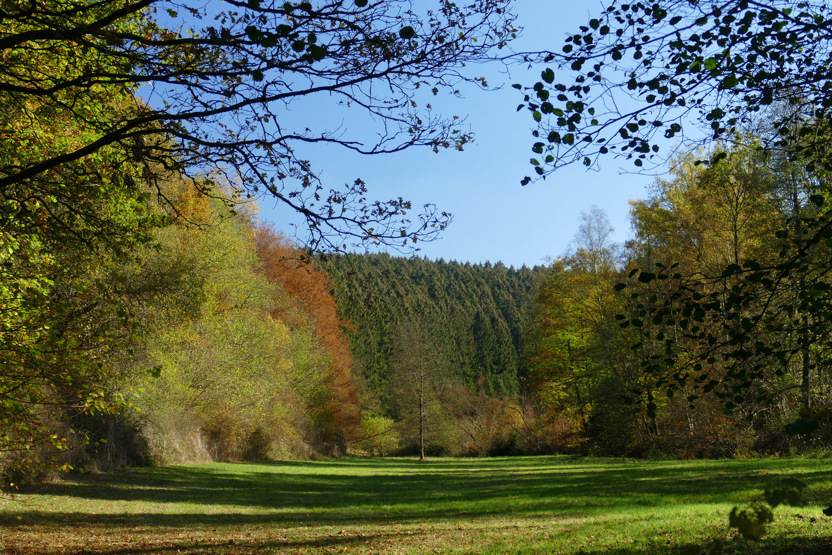 °°°° herbstliches Lichtspiel °°°°