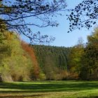 °°°° herbstliches Lichtspiel °°°°