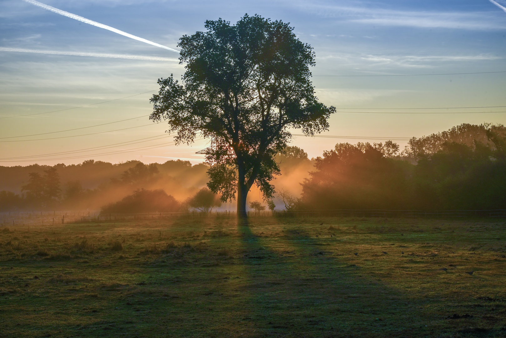 Herbstliches Lichtspiel !