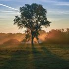 Herbstliches Lichtspiel !