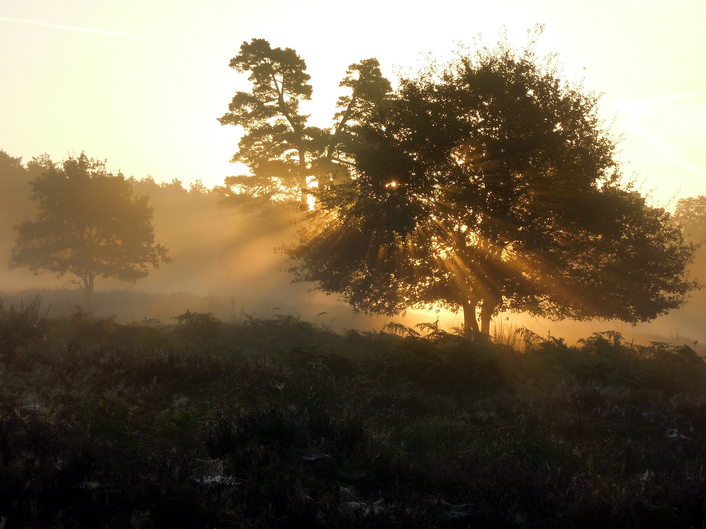 Herbstliches Lichtspiel