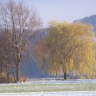 Herbstliches Lichtspiel